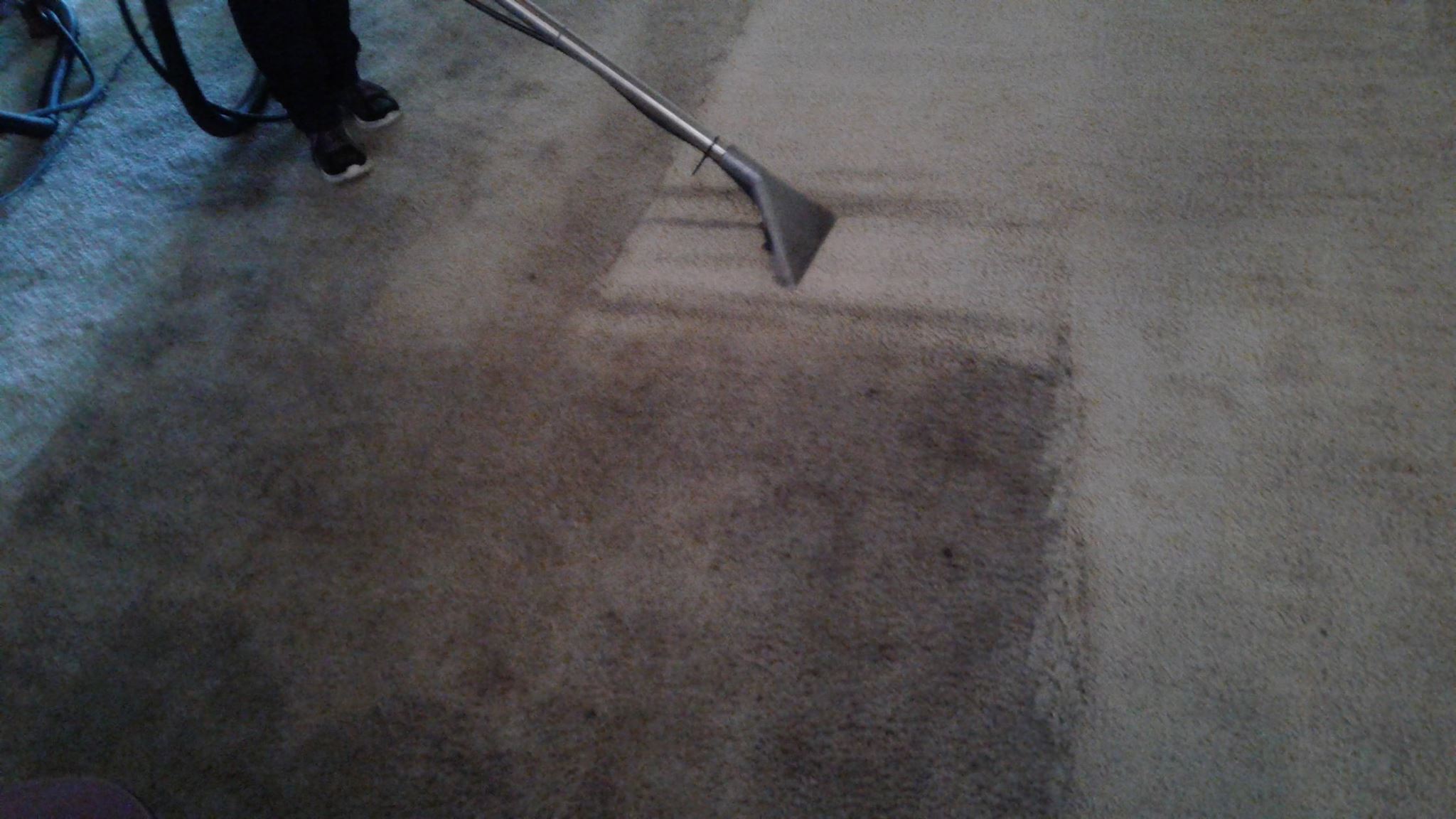 Carpet Cleaning - True Clean