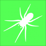 picture of a spider on a green background