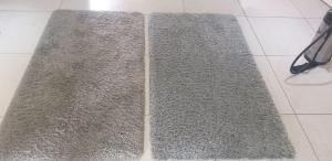 fluffy rug before and after