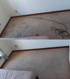 newly cleaned carpets port elizabeth true clean